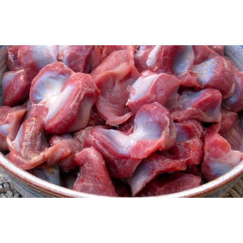 can dogs eat raw chicken gizzards| todocat.com