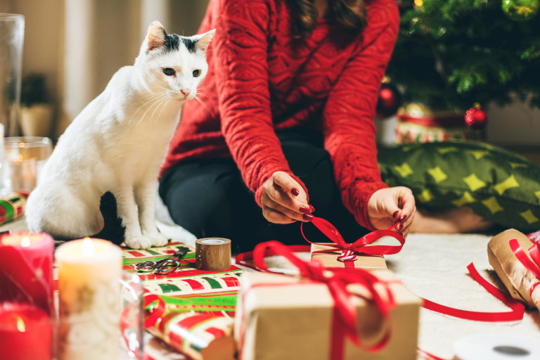 Cat by the Christmas tree with gifts
